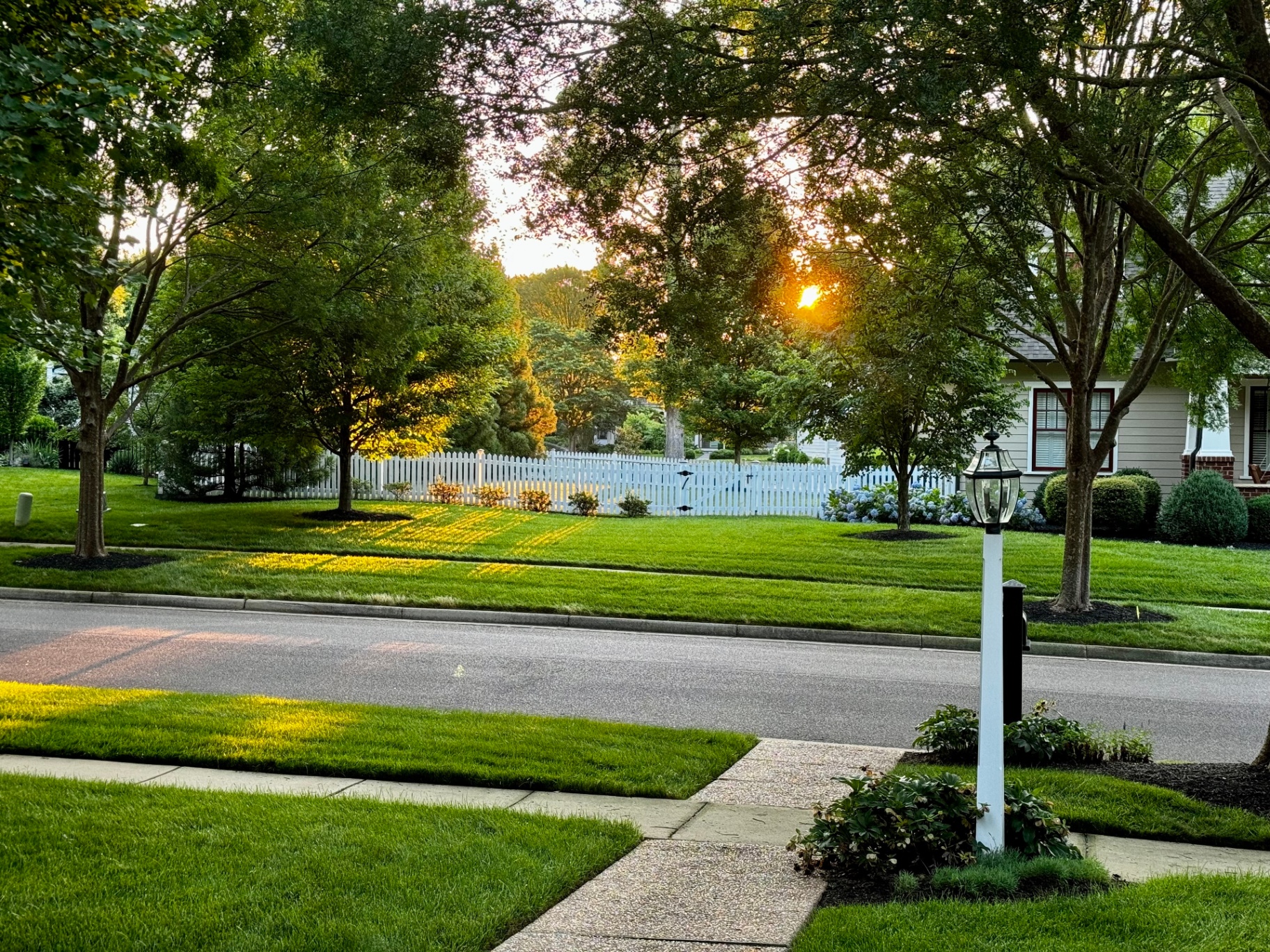 Golden hour view from the front porch looking across the tree-lined street